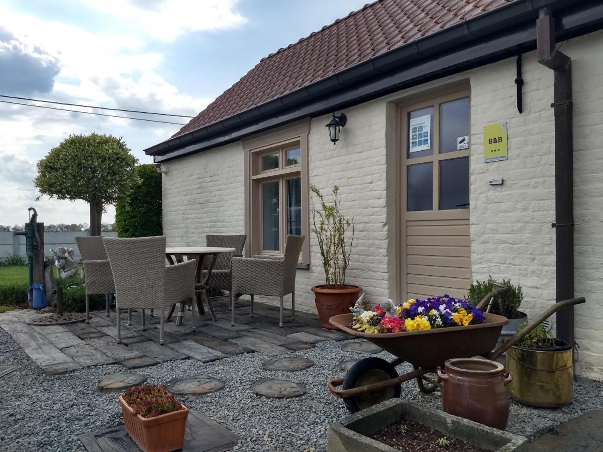 Dhofstede Vakantiewoning Oudenaarde Kültér fotó
